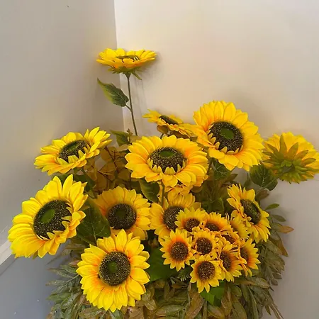 Raggio Di Sole Bed & Breakfast Rende