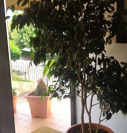 Bed & Breakfast Raggio Di Sole