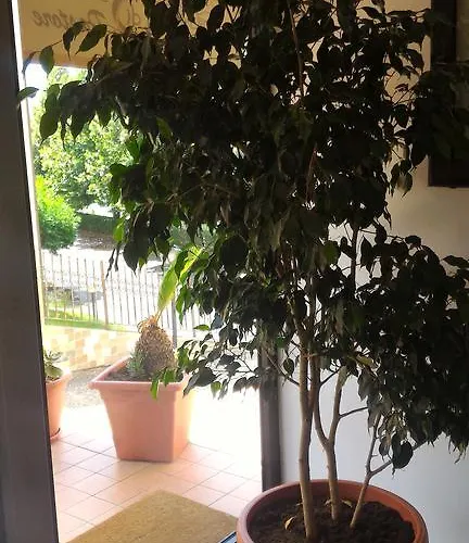 Bed and Breakfast Raggio Di Sole